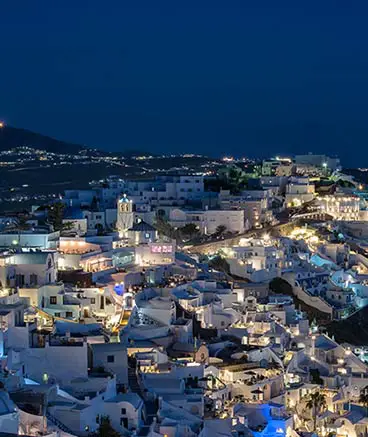 what to eat bluedoplhins